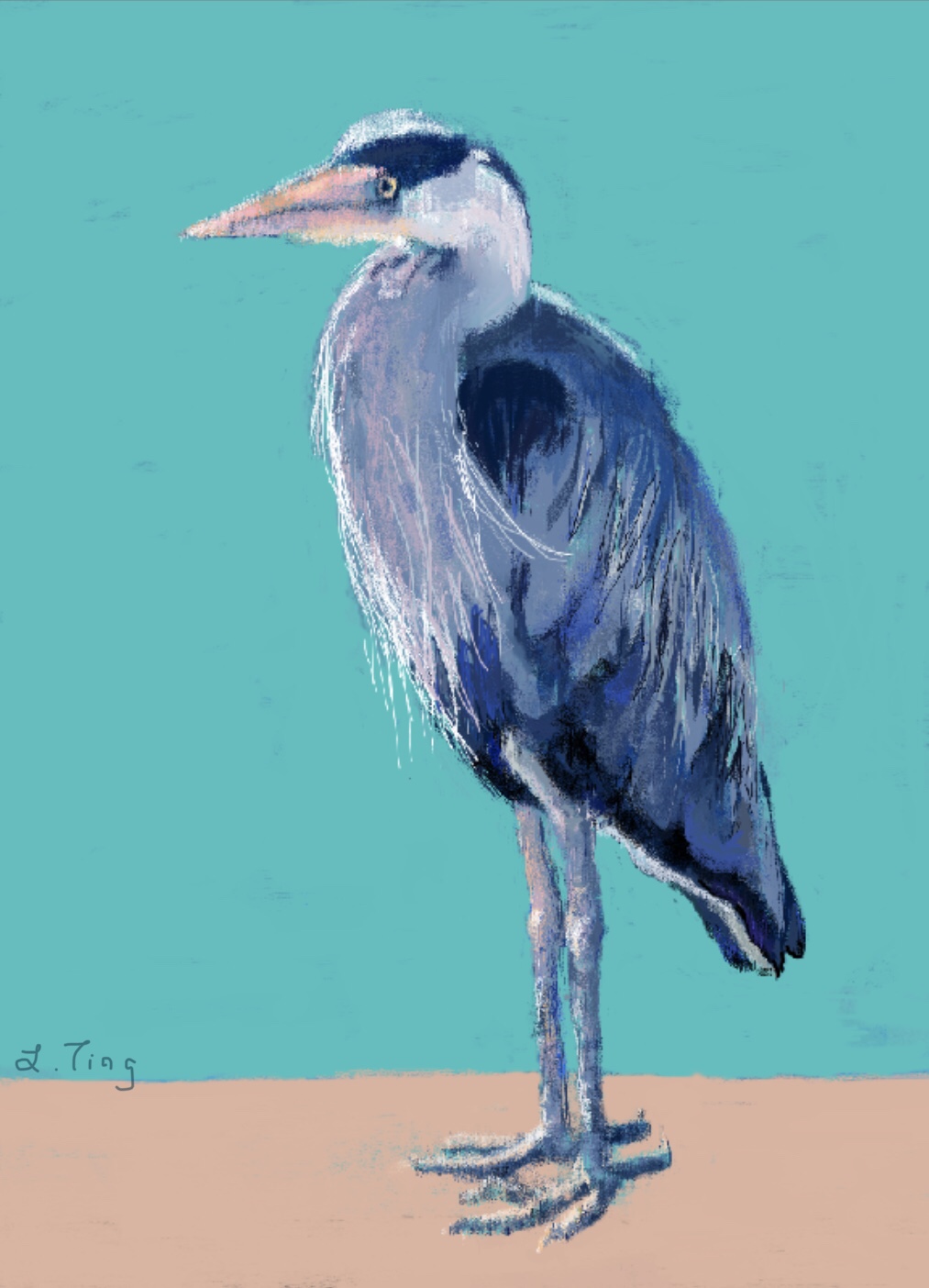 Mr Heron